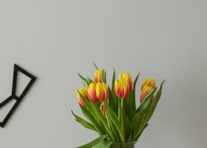 Apartman Unique Baltic Marina With Sauna & Fitness By Renters *